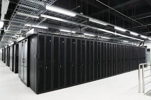 石家莊企業(yè)榮膺全國數(shù)字化轉型伙伴行動首批倡議方，數(shù)據(jù)處理服務成關鍵引擎